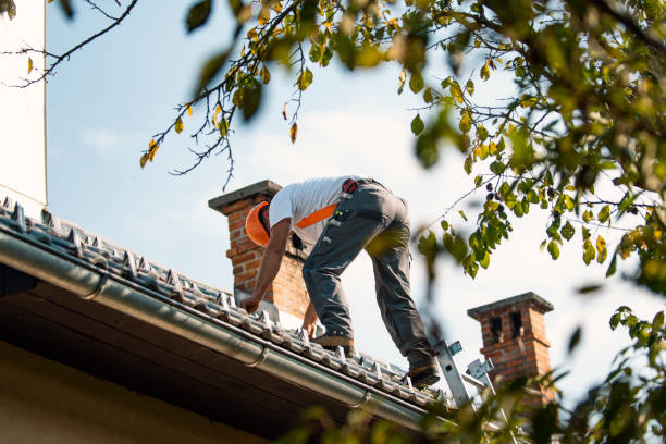 Best 4 Ply Roofing  in Churubusco, IN
